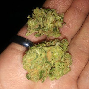 Warm Up Sesh