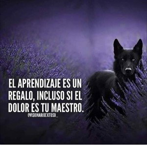 Solo queda un suspiro