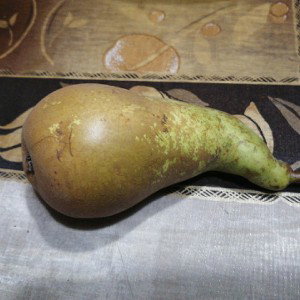 Груши