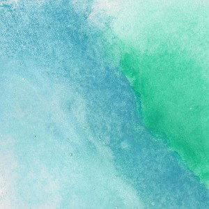 Ко$мон@вт - Почва