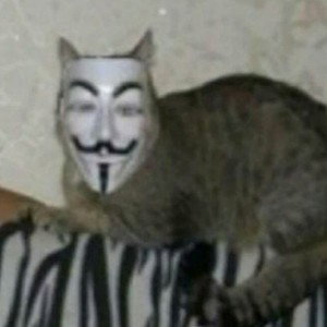 ябл очко 