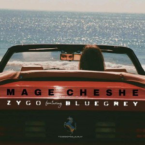 05• Mage cheshe - Bluegrey x Zygo ( Cassiopeia album )
