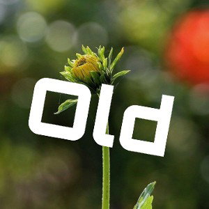 Old (lil hot) original