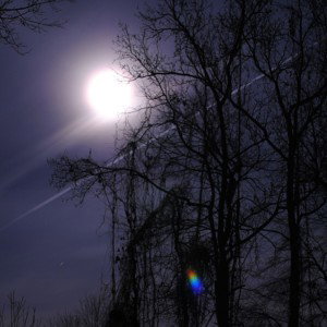 At Night 