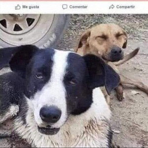 alucinacion..