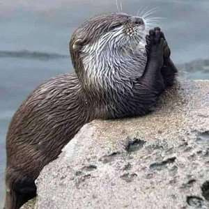 let's pray for our country