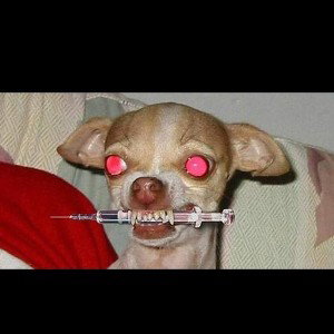 yo i am back 