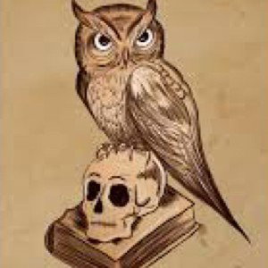 Wise Old Owl