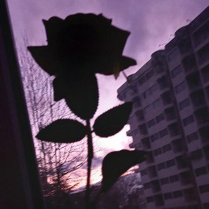 Вайфу