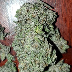 dispensary 