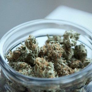 smoke that shit
