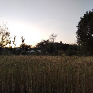 Noizy_13-31