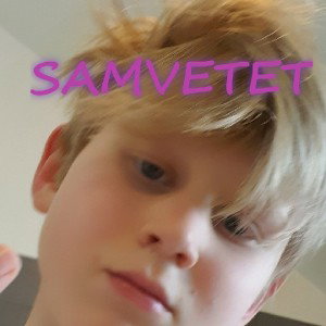 SAMVETET, A Swedish Verision