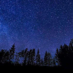 Estrellas y poetas.