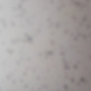 GripKnotz - Bad Day (Solo) (Hook) - Prod. Juju