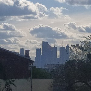 тень