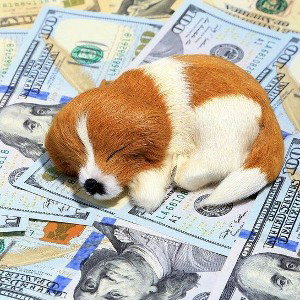 Million heir
