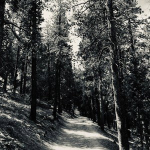 Run Away