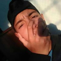 fresstyle