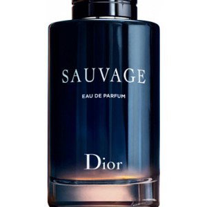 Совместный Dior