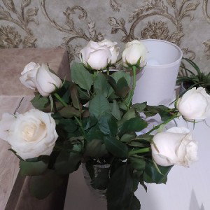 жизнь