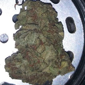 OffTheStem