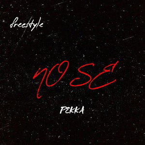 PEKKA - NO SE