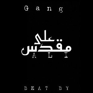 shah nasl6