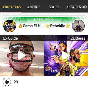 Lealtad