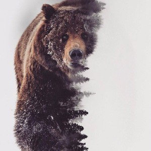 Чистые руки