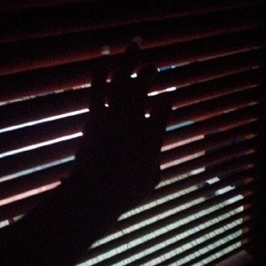 noches oscuras