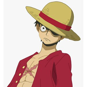 c-buch- Mugiwarana (one piece )