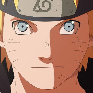 ninja total