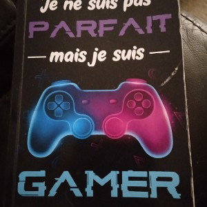 je ne suis pas parfait mais je suis gamer c'est presque pareil