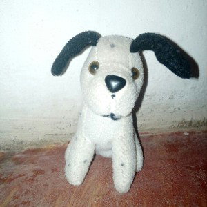 solo presentacion