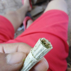 veneno bucal