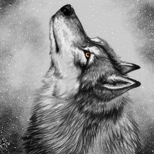 Loup solitaire - arrêter 
