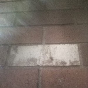 I Fknluv Hate Dub Weeded 