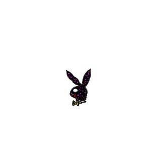 Lil Xxel, Tyga, & Coi Leray - What U Want (Lyrics)