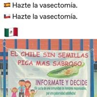 COMO CAIDA DEL CIELO