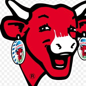 Zizi
