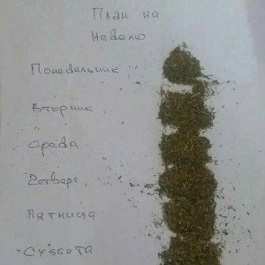 Районное утро