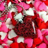 My armor