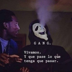 vida 