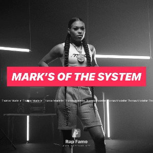 Mark’s of the system