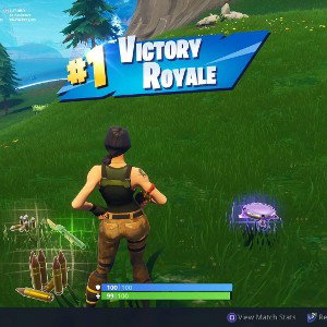Fortnite Beast