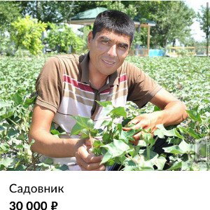 Просто рандомный высер я 