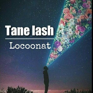 tane lash