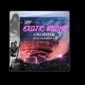 Exotic Smoke (feat. Kashiusxai) #wopstxr