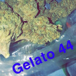 😈Sample from me tuh you😈